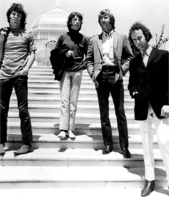 The Doors on Steps
