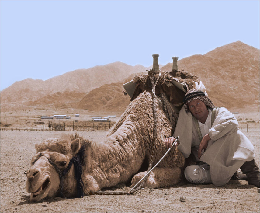 Lawrence of Arabia Camel Scene
