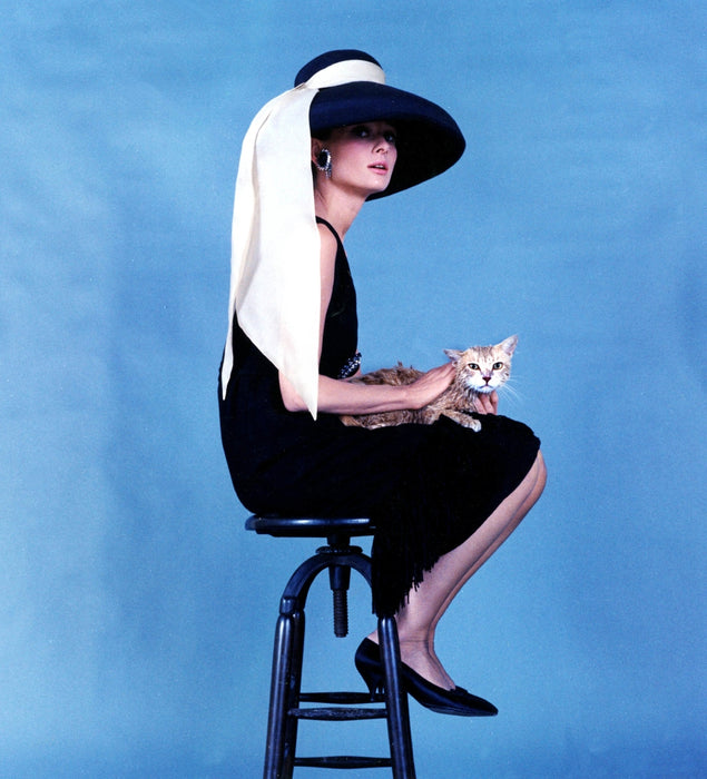Audrey Hepburn Posed with Kitten for "Breakfast at Tiffany's"